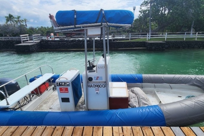 a blue and white boat sitting next to a body of water