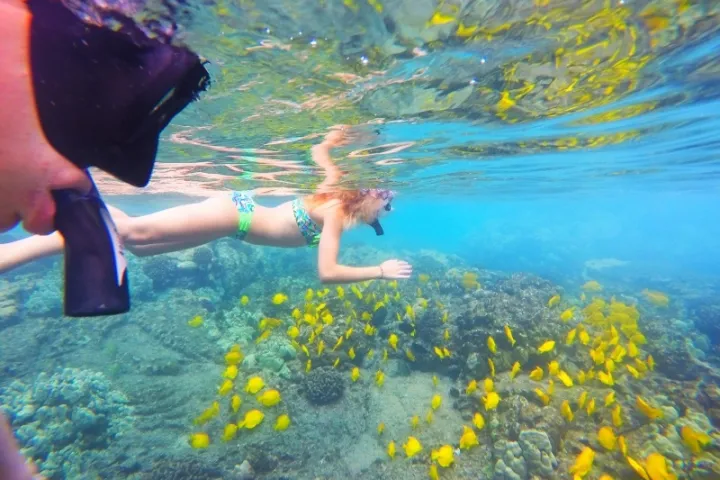 a person swimming in the water